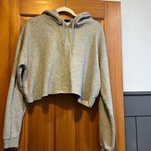 urban outfitters cropped sweatshirt